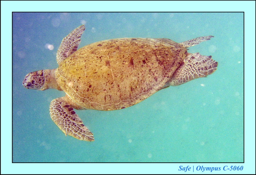 2008 - 07 - Perhentian - 019